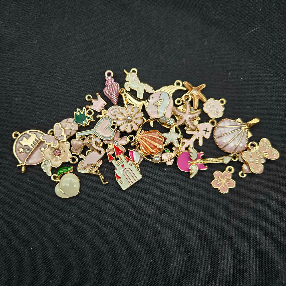 
            
                Load image into Gallery viewer, Charms - Assorted Pink
            
        