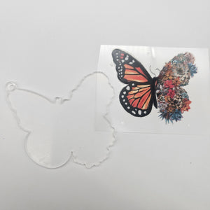 
            
                Load image into Gallery viewer, Keychain &amp;amp; Decal Set - Orange Butterfly Succulent
            
        