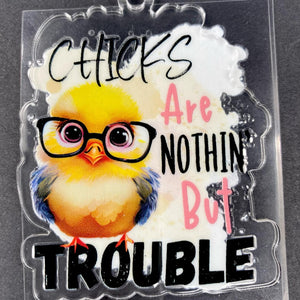 Keychain & Decal Set - Nothin' But Trouble