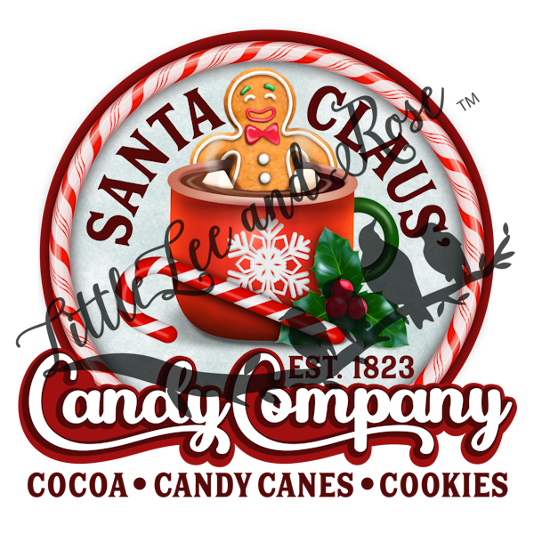 
            
                Load image into Gallery viewer, SC Candy Company Clear Waterslide
            
        