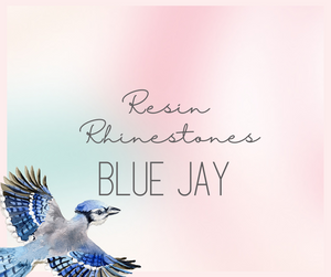 
            
                Load image into Gallery viewer, Multicolored Rhinestone Mix - Blue Jay - RESIN
            
        