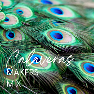 
            
                Load image into Gallery viewer, Makers Mix RESIN - Calaveras
            
        