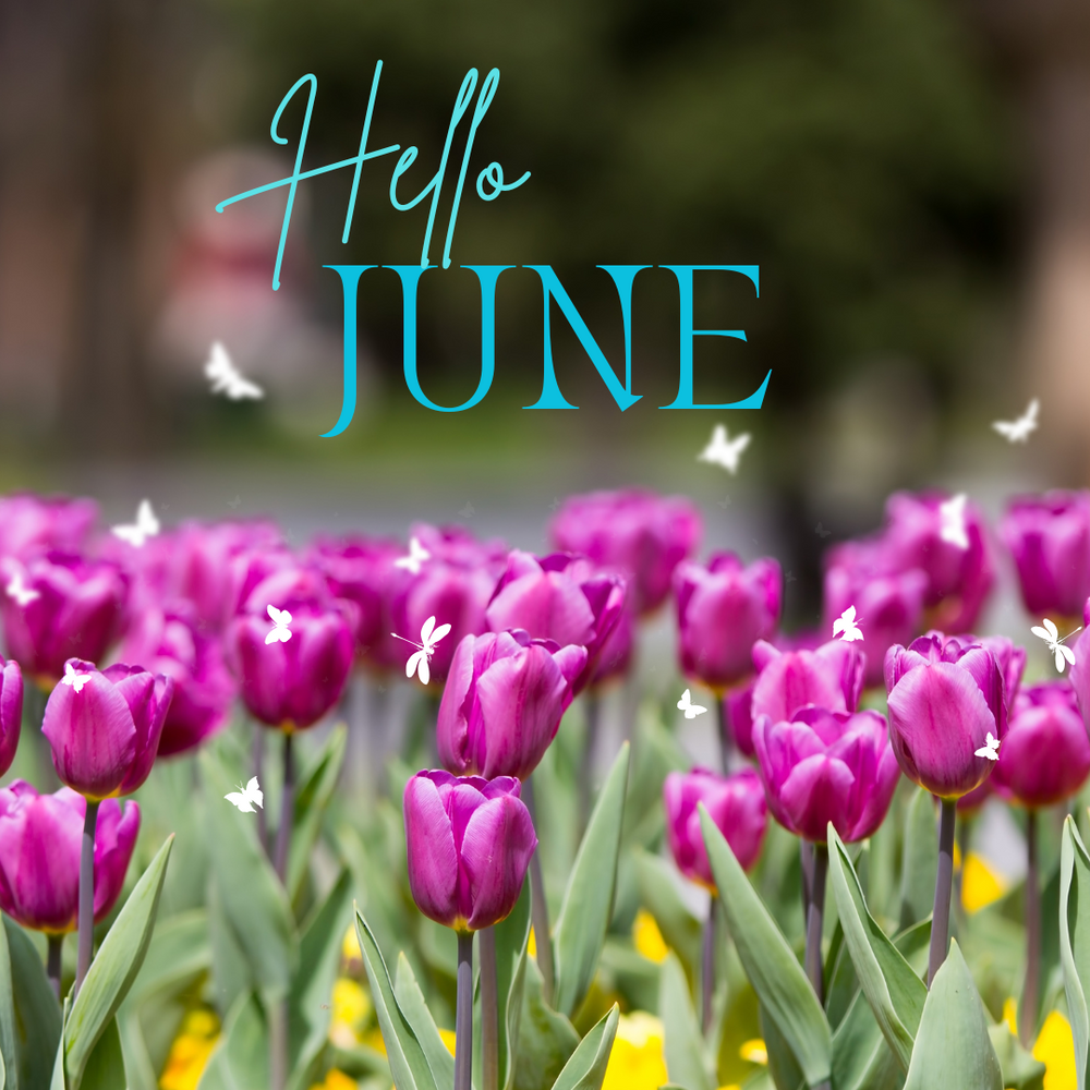 
            
                Load image into Gallery viewer, Multicolored Rhinestone Mix - HELLO JUNE - RESIN
            
        