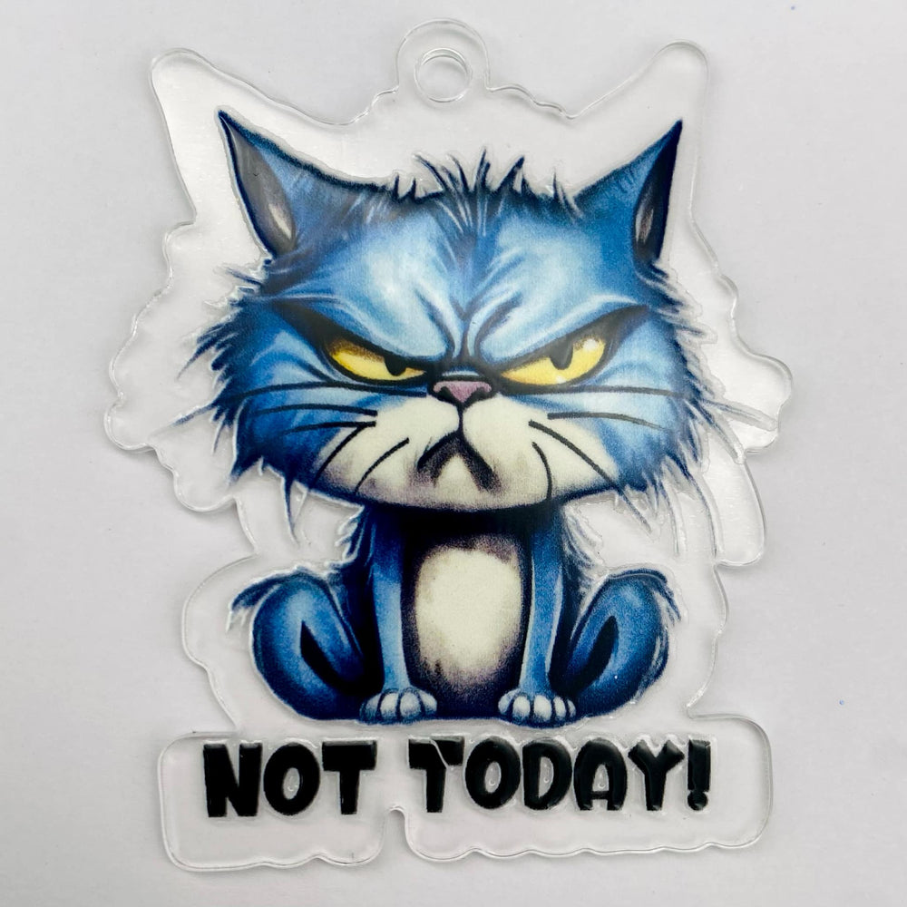 
            
                Load image into Gallery viewer, Keychain &amp;amp; Decal Set - Grumpy Cat
            
        