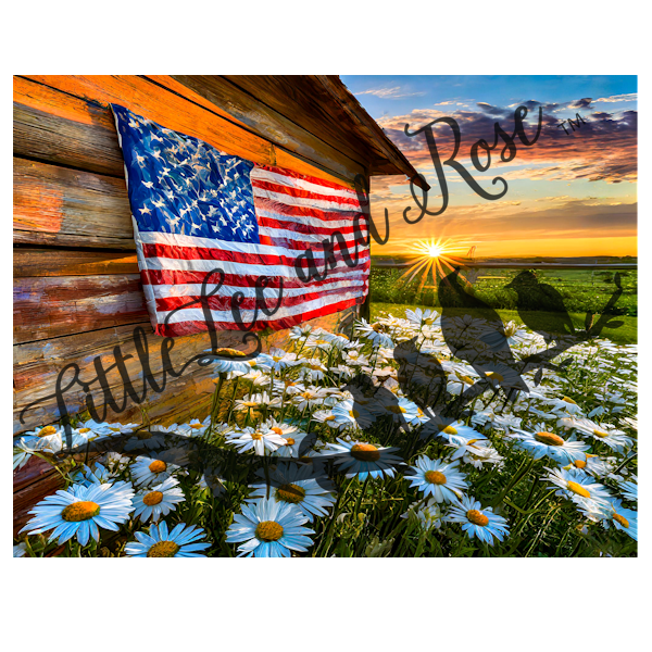 
            
                Load image into Gallery viewer, Barn Daisies Full Sheet 8.5x11 UV-DTF
            
        