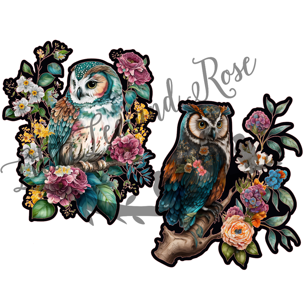 
            
                Load image into Gallery viewer, Printed Vinyl Stickers - Blue Owl Pair
            
        