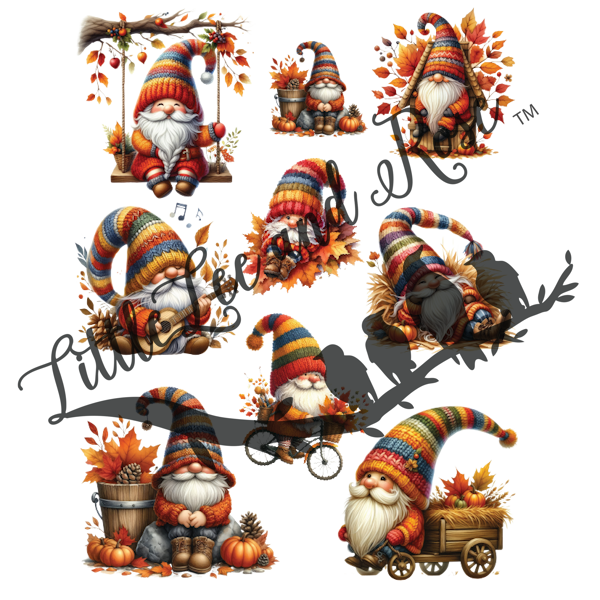 
            
                Load image into Gallery viewer, Central Park Gnomes UV-DTF Sheet
            
        