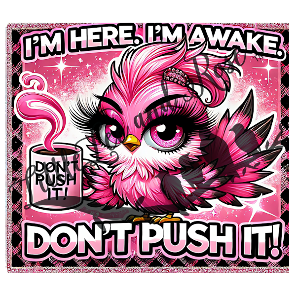 
            
                Load image into Gallery viewer, .Don&amp;#39;t Push It - Tumbler, Sublimation, or Vinyl
            
        