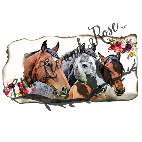 
            
                Load image into Gallery viewer, Horse Portrait UV-DTF 2.5 inch
            
        