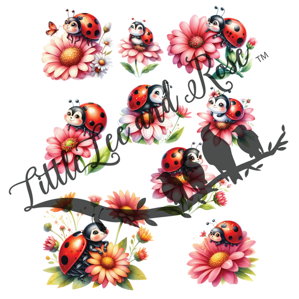 
            
                Load image into Gallery viewer, Ladybug Blush UV-DTF Sheet
            
        