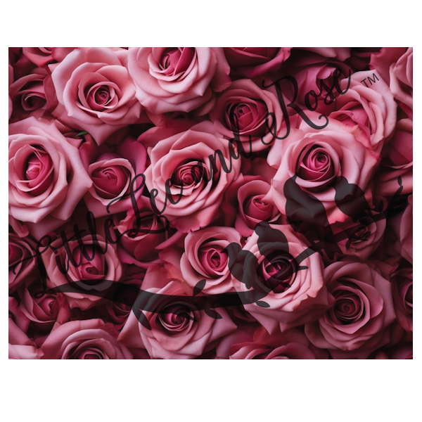 
            
                Load image into Gallery viewer, Pink Roses Full Sheet 8.5x11 UV-DTF
            
        