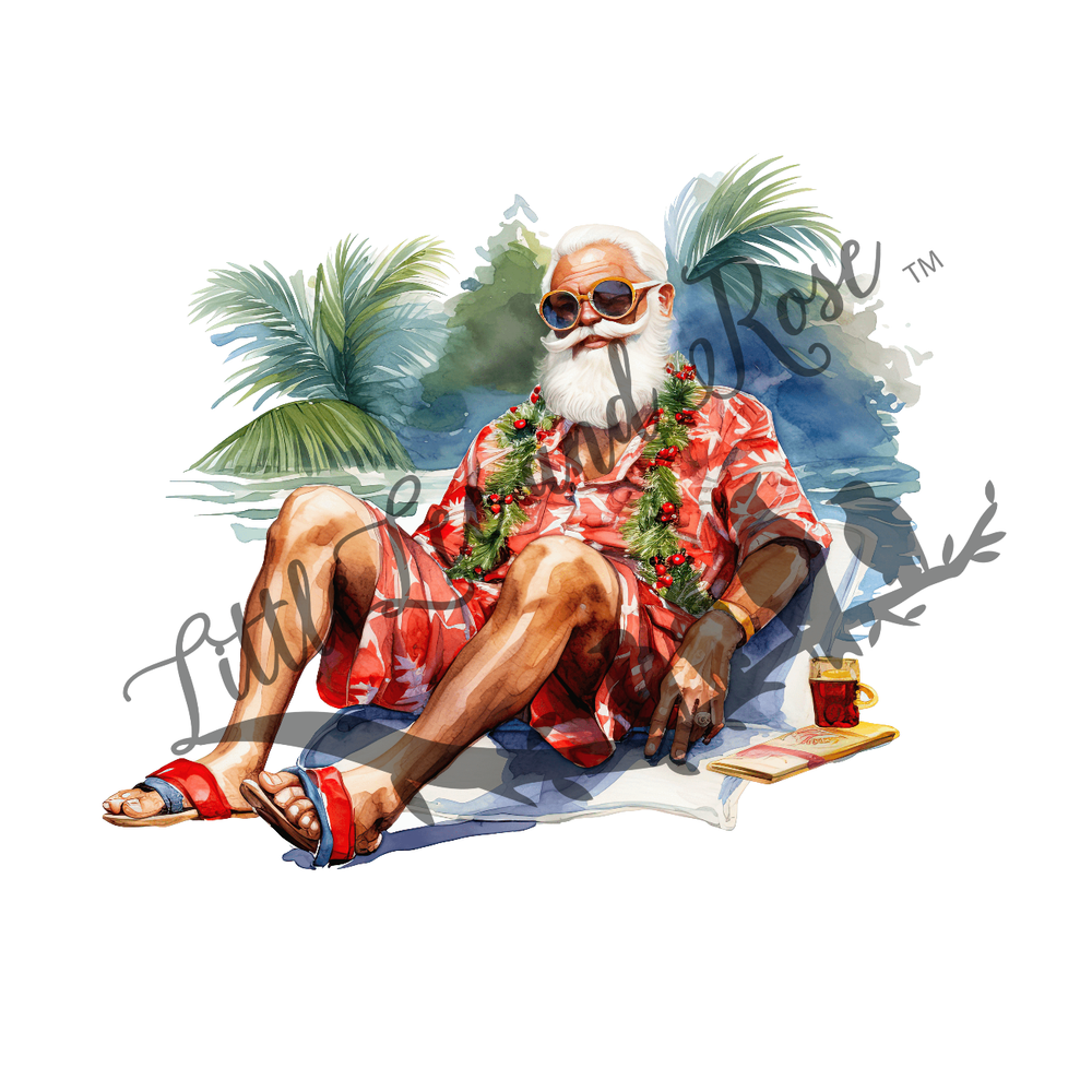 
            
                Load image into Gallery viewer, Relaxing Santa Clear Waterslide
            
        