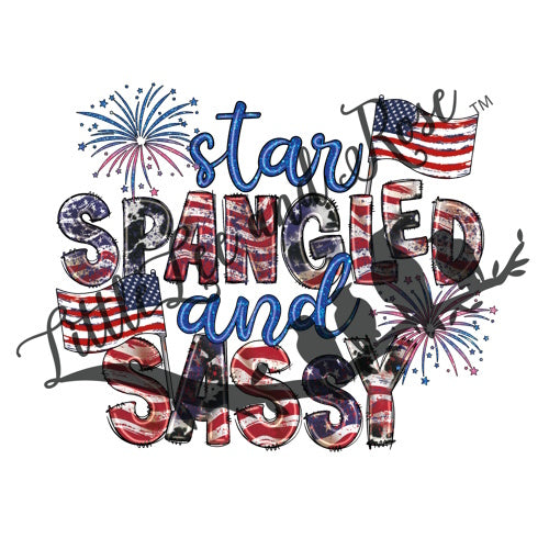 
            
                Load image into Gallery viewer, Star Spangled Instant Transfer
            
        