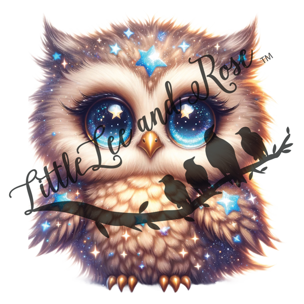 
            
                Load image into Gallery viewer, Topaz Owl UV-DTF
            
        