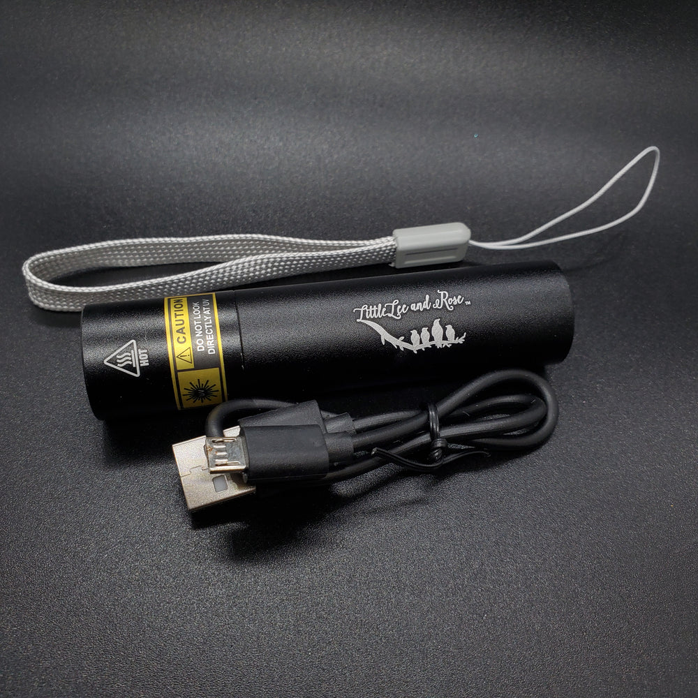 
            
                Load image into Gallery viewer, Rechargeable UV Flashlight
            
        