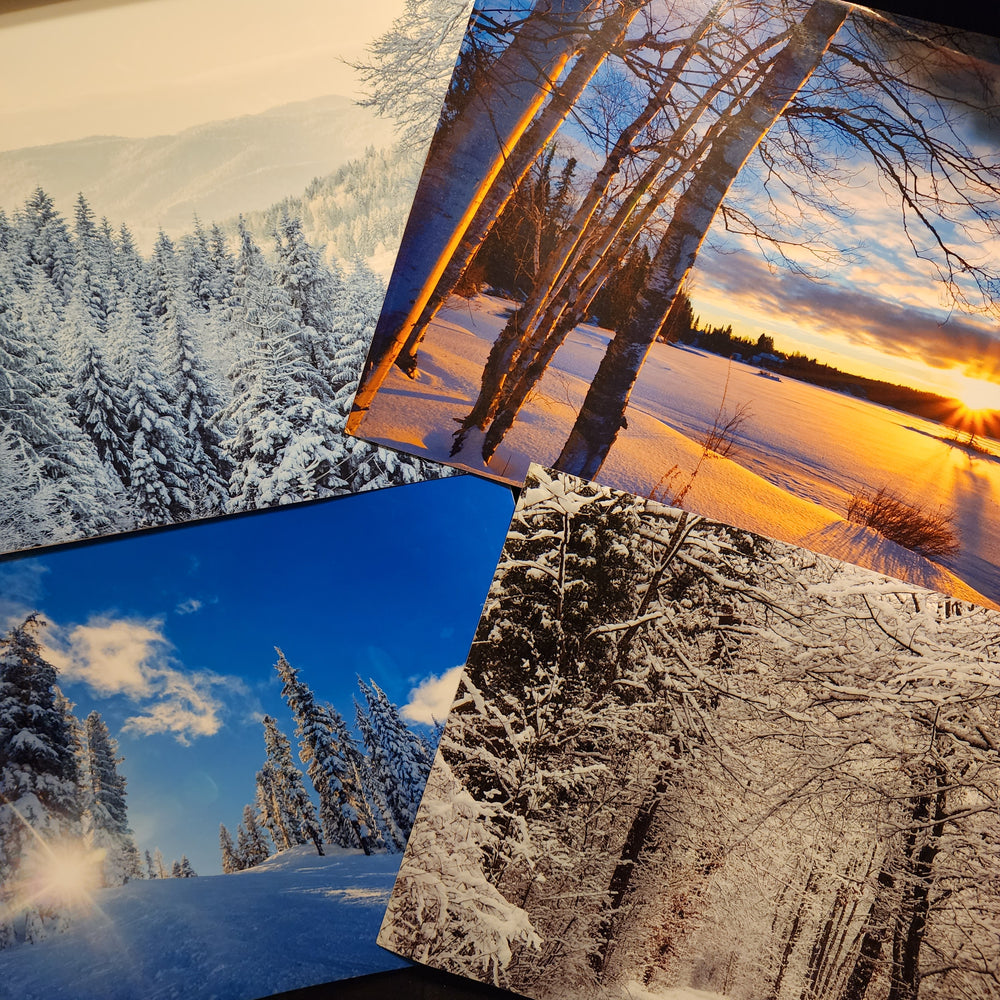 Winter Landscape Printed Vinyl 5 Pack