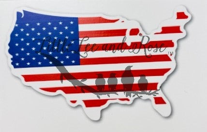 
            
                Load image into Gallery viewer, USA Flag Clear Waterslide
            
        