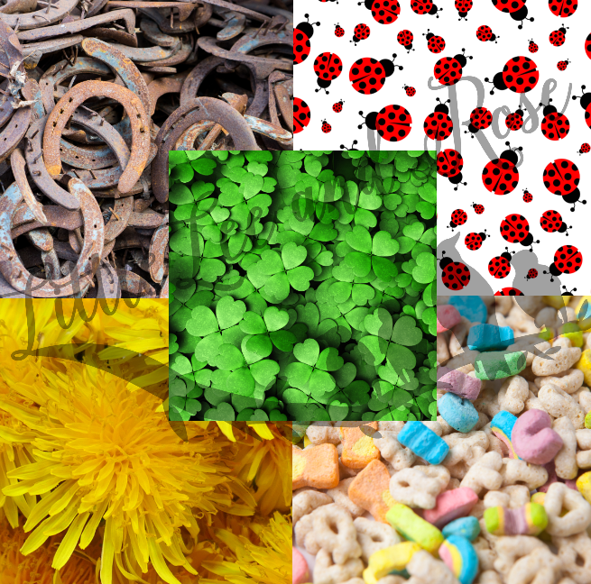 
            
                Load image into Gallery viewer, SUBLIMATION 5 Pack - Lucky Charms
            
        