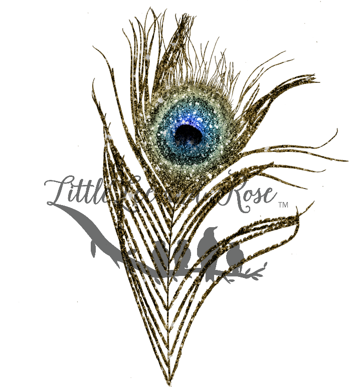 
            
                Load image into Gallery viewer, Natural Color Peacock Feather clear waterslide
            
        