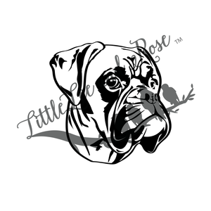 
            
                Load image into Gallery viewer, Boxer Clear Waterslide
            
        
