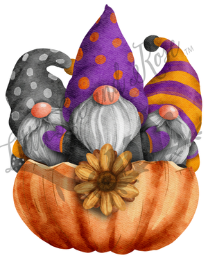 
            
                Load image into Gallery viewer, Gnome Party in a Pumpkin Clear Waterslide
            
        