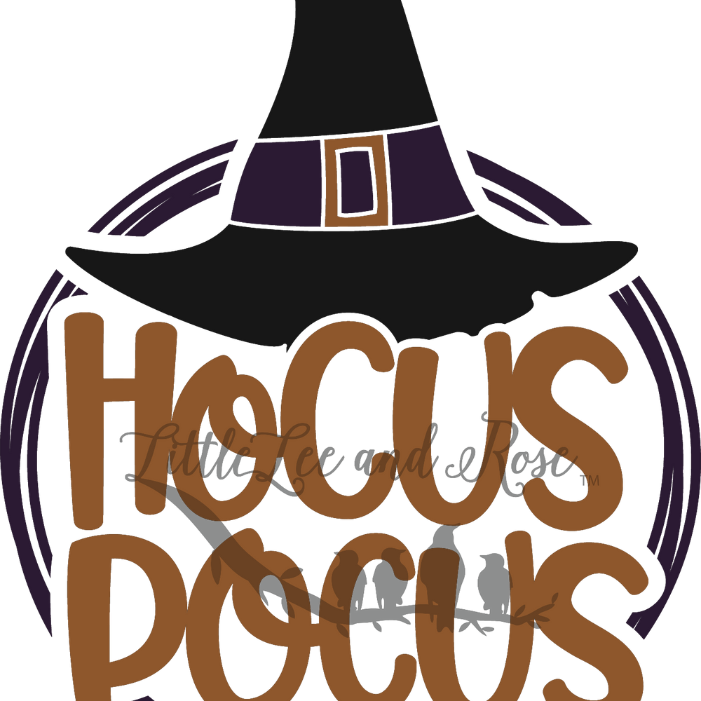 
            
                Load image into Gallery viewer, Hocus Pocus Clear Waterslide
            
        