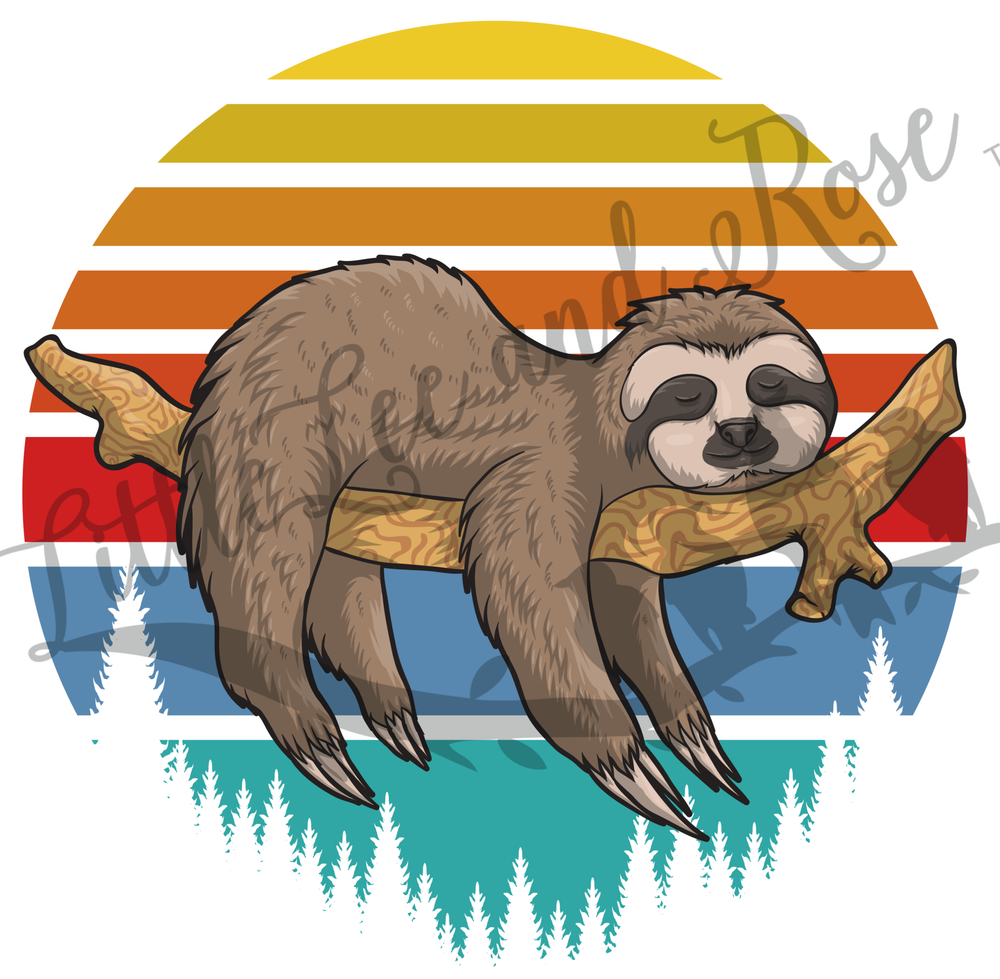Lazy Sloth Clear Waterslide