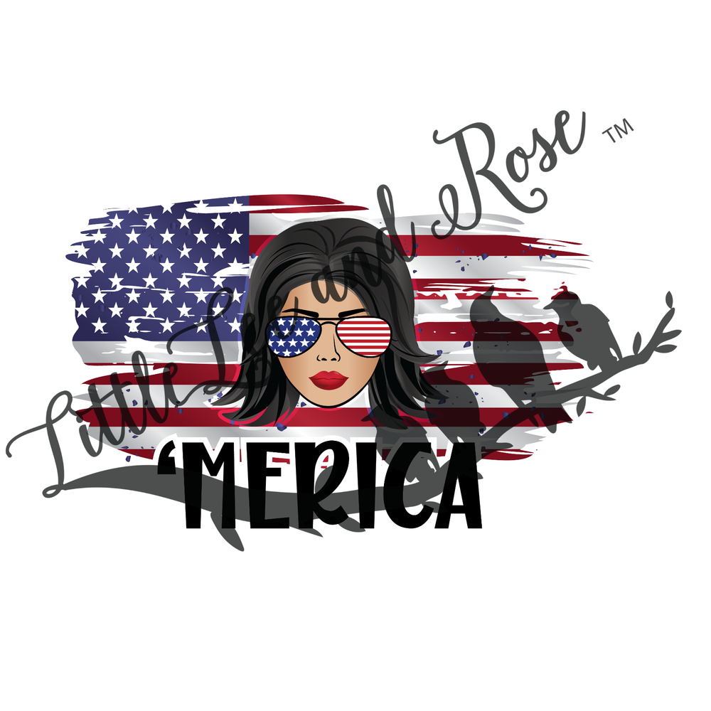 
            
                Load image into Gallery viewer, &amp;#39;Merica Lady 3 Clear Waterslide
            
        