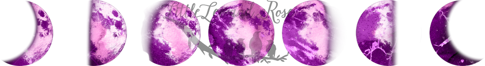 
            
                Load image into Gallery viewer, Purple Phases of the Moon Clear Waterslide Coaster Bundle
            
        