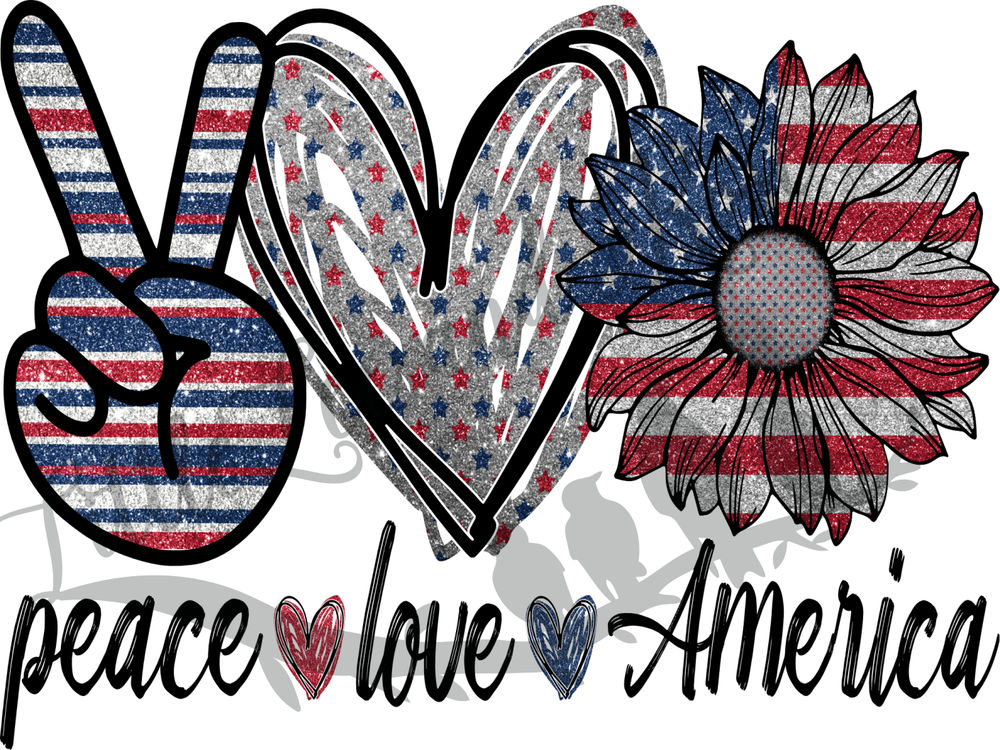 Peace, Love, America Clear Waterslide