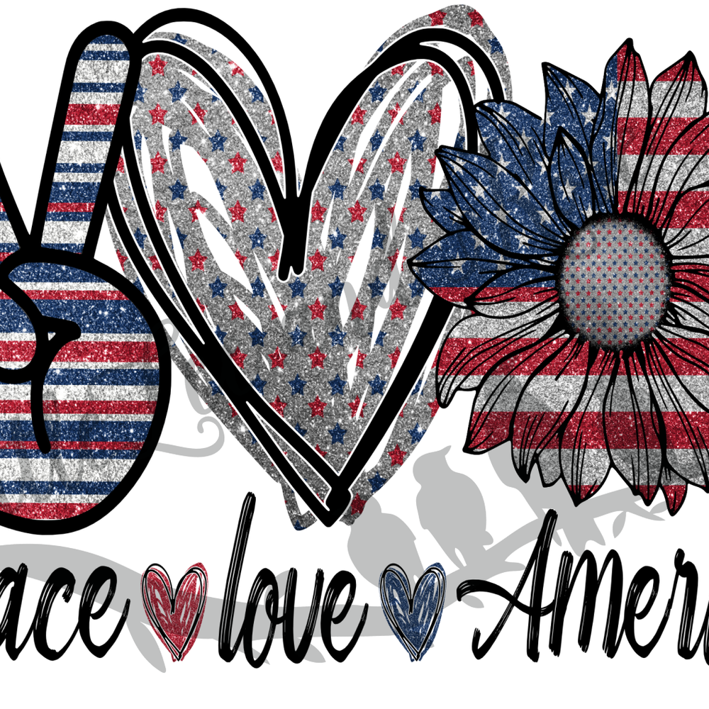 
            
                Load image into Gallery viewer, Peace, Love, America Clear Waterslide
            
        