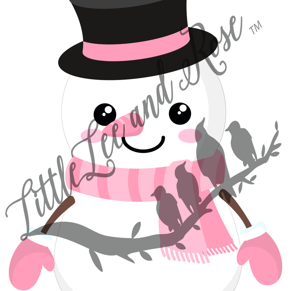 
            
                Load image into Gallery viewer, Pink Snowman Clear Waterslide
            
        